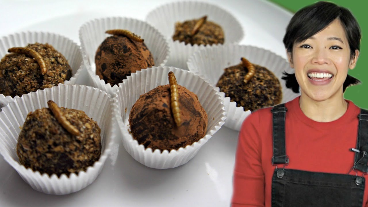 Mealworm TRUFFLES Recipe -- Bugmas 2018 Day 5 -- Merry Christmas! | emmymade