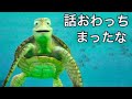 話,おわっちまったな.. ~タートルトーク!! 2016年4月。ディズニーシーのアトラクション。4K動画。