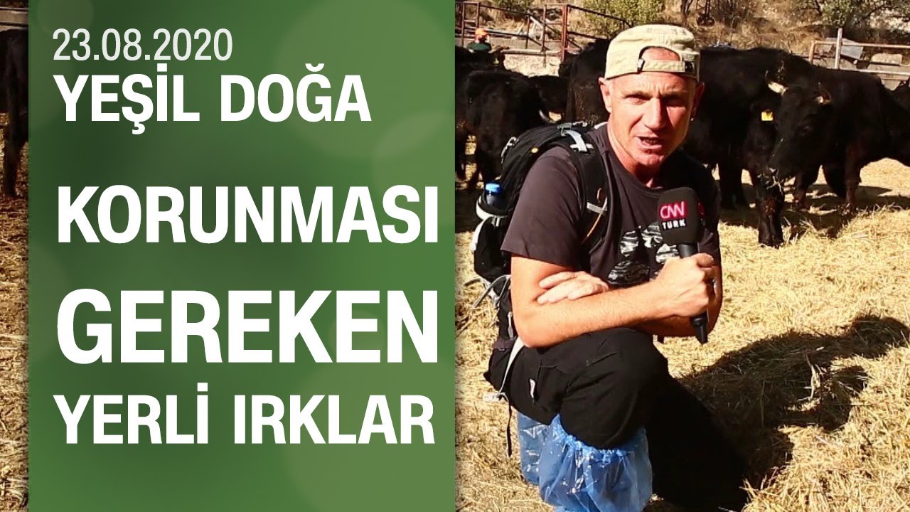 Nesli tükenmekte olan türlerin hayatta kalma hikayesi - Yeşil Doğa 23.08.2020