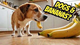 Banana Treats for Dogs Safe or Risky