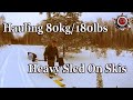 Solo Deep Woods Winter Camping 2019 Two Day Trip