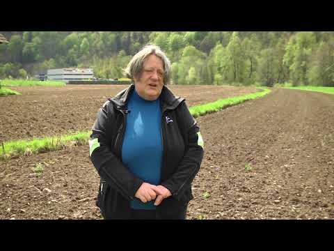 Video: Opraviti Je Treba Spomladanska Vrtnarska Dela (marec, April In Maj)