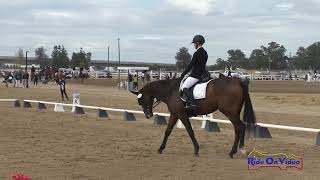211D Jenna Smith on Alfa Romeo Intro Dressage Ram Tap November 2024
