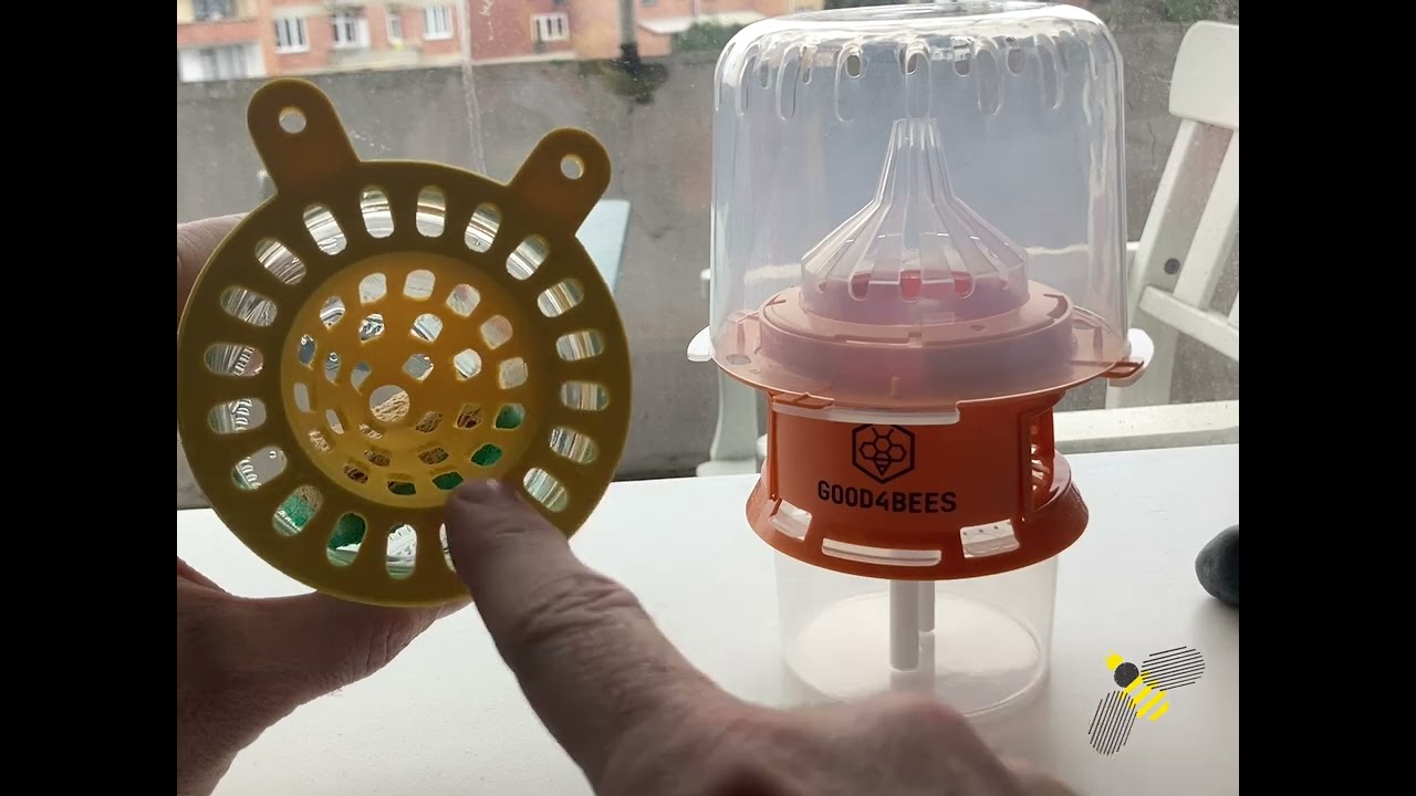Couvercle de capture VS Good4bees 