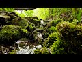 КРАСИВАЯ ПРИРОДА  ВОЛШЕБНОЕ МЕСТО КУК КАРАУК 4K |   BEAUTIFUL NATURE  MAGIC PLACE KUK KARAUK 4K