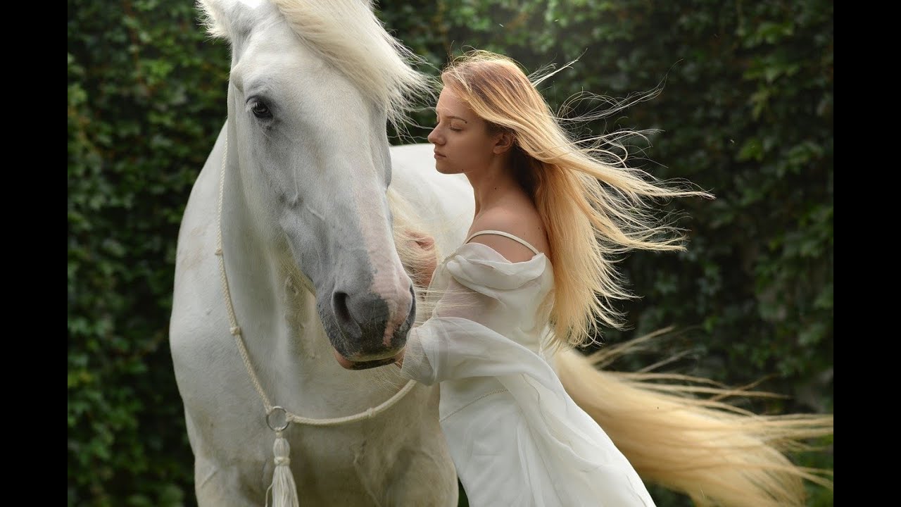 Sonhar com Cavalo, montado, cavalgando, andando, correndo, cavalos ...