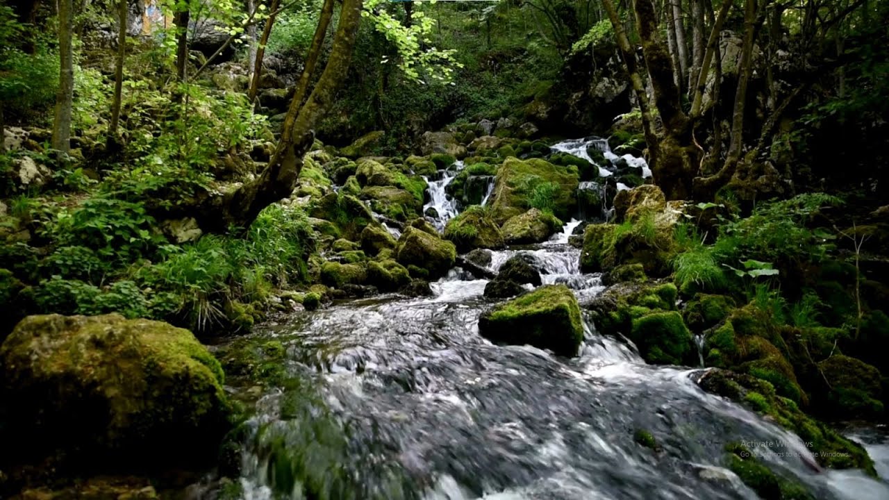 Nature Beautiful River sound For Sleeping Mountain stream flowing Relaxing River Sounds Meditation