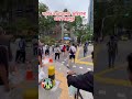 আইন না মানলেই জরিমানা #fine #traffic #singapore #viral #trending #probashi