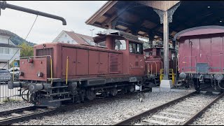 DVZO Diesellok Em 3/3 und Ellok Ee 3/3 mit Museumszug in Bauma DVZO Diesellok Em 3/3 und Ellok Ee 3/3 mit Museumszug in Bauma