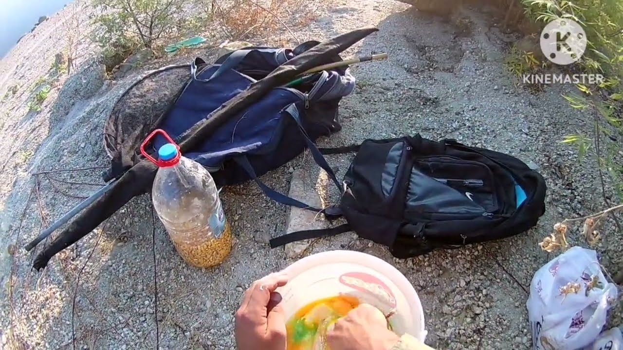 Sazan Avı, Sazan Hamuru yapılışı, Bol Aksiyon Carp Fishing