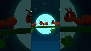 🐜 Sleepy Ants Walking Under the Moonlight 🌙 #babycalmtime