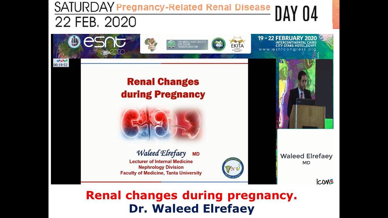 Renal changes during pregnancy. Dr. Waleed Elrefaey