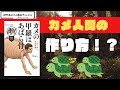 カメの甲羅はあばら骨！？〜君にはあるか、ゆずれない一本の骨〜【しんたろー持ち込み企画】※書籍紹介動画です。
