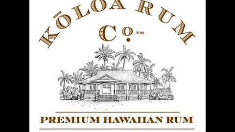 Commerce on Kauai - Bob Gunter &  Mark Perriello