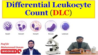 Differential Leukocyte Count (DLC)| Peripheral Blood Film | Leishman Stain | #hematology #practical