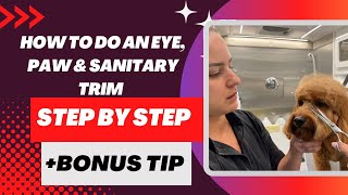 HOW TO DO AN EYE, PAW, AND SANITARY TRIM ON YOUR DOG + BONUS TIP