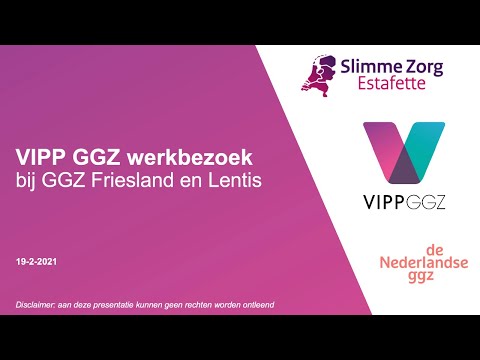 Werkbezoek directeur-generaal Curatieve Zorg Ronnie van Diemen aan VIPP GGZ