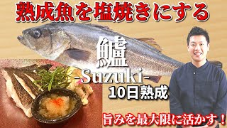 スズキの熟成魚を 塩焼きにする 調理法と扱い方 和食 の技術 How To Make Grilled Sea Bass Japanese Style Youtube
