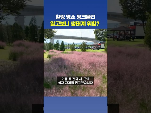 인생 샷 명소에서 토종 생태계 교란으로.. ????