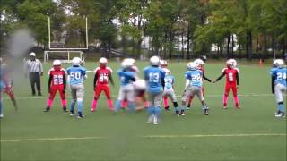 2016 NYCYFL Jr Pee Wees Springfield Rifles vs Bronx Knights