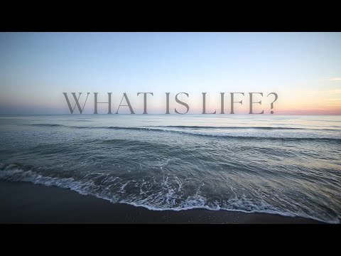What is Life? | Life is... | Keep Calm & Manifest