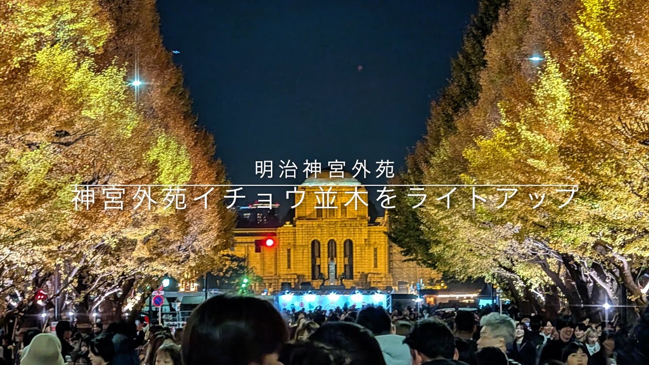 神宮外苑イチョウ並木をライトアップ