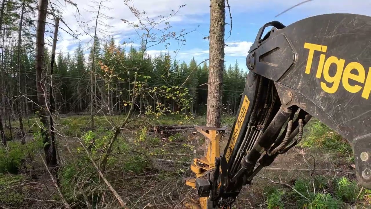 Back cutting on our state sale!