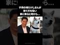 ビートたけし少年を救った柴犬