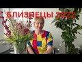 🔴 БЛИЗНЕЦЫ 2022 🔴 Счастливый гороскоп