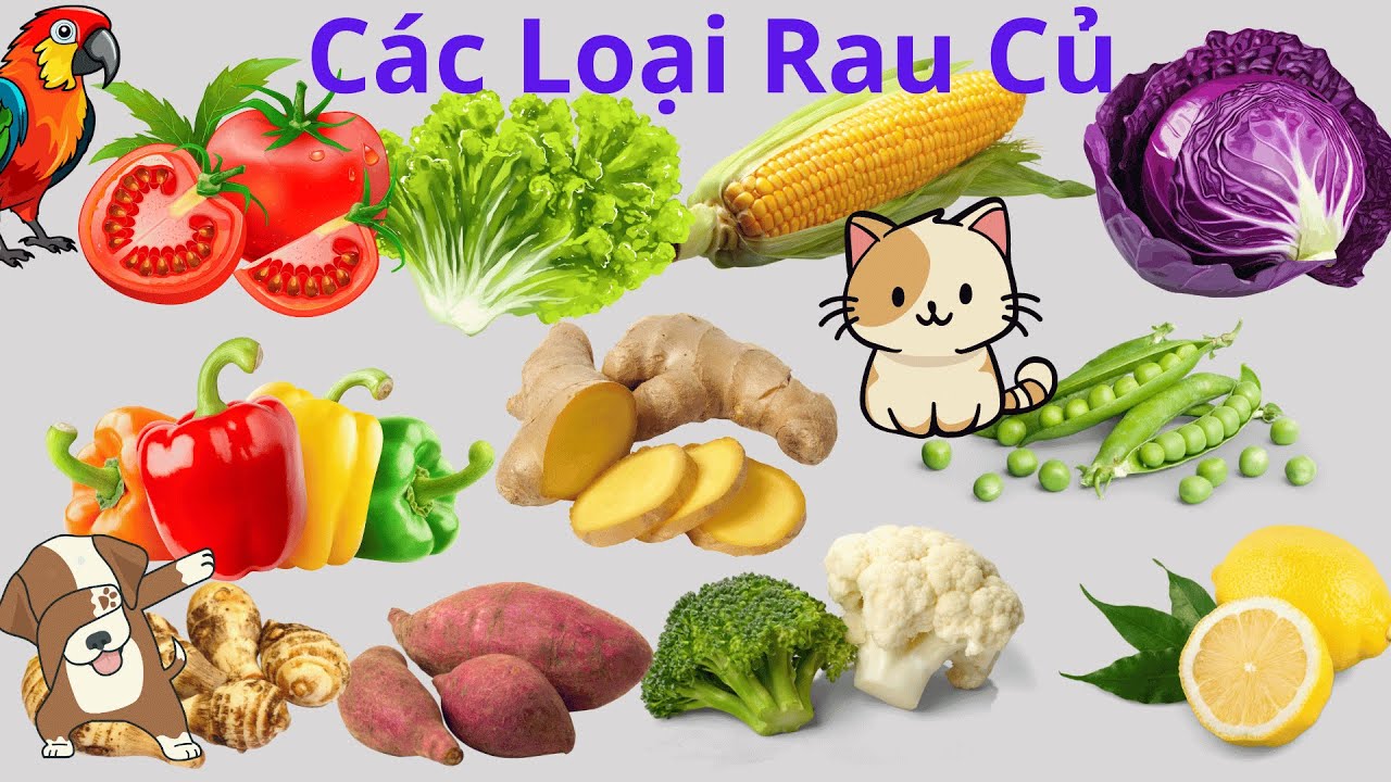 Bé Học Tên Các Loại Rau Củ | Babylearnning - YouTube