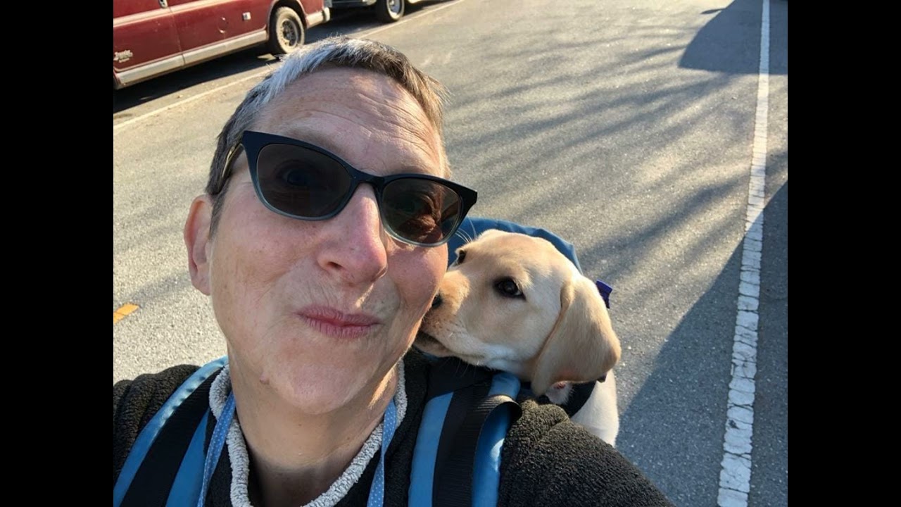 Pause for Peace: Reasons to Live Through the Apocalypse