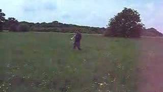 mini fizz maiden flight