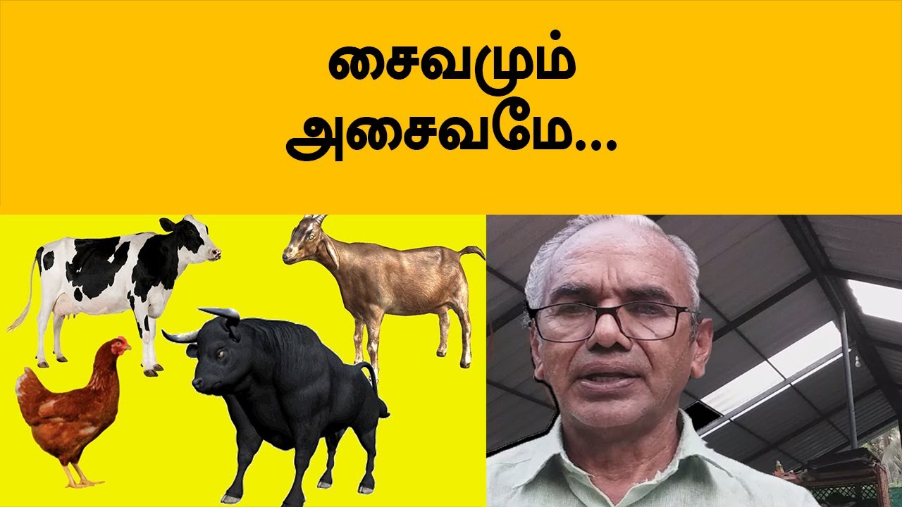 சைவமும் அசைவமே !! - Sirpi Rajan