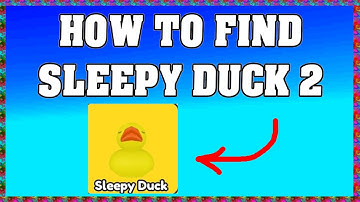 How To Find Sleepy Duck in Find The Ducks 2 🦆
