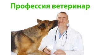 Профессия ветеринар. Ветеринарная клиника Био-Вет.