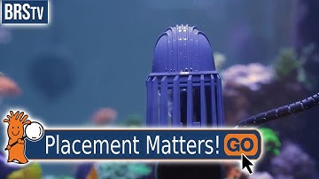 Where Should a Powerhead Be Placed in an Aquarium?