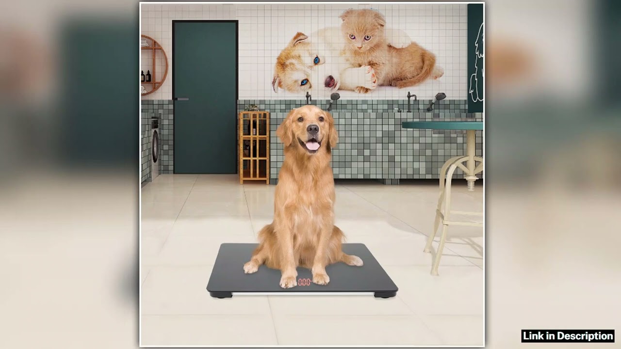 220 lbs Capacity Shipping Scale Tempered Glass AutoLock Weight TARE and UNIT Functions Ideal for Pe