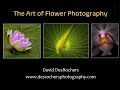 Aepg 20230309 david desrochers   the art of flower photography