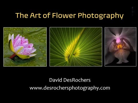 Video: Ziedu fotografēšanas māksla