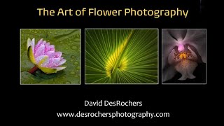 AEPG 2023-03-09 David DesRochers  - The Art of Flower Photography