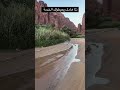 وادي الديسة في تبوك السعودية جميل جدا
