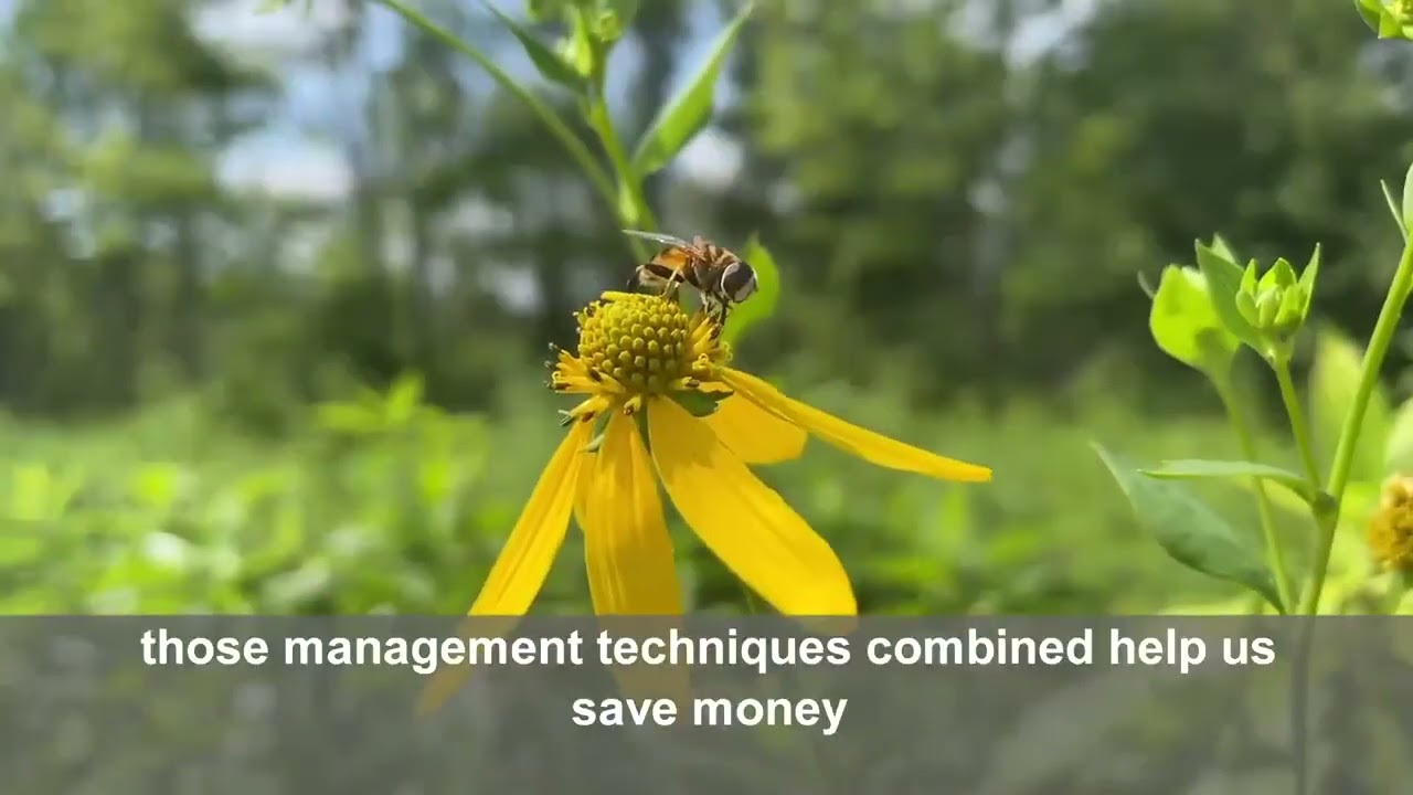 Helping pollinators thrive