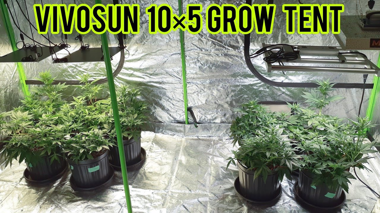 VIVOSUN 10×5 GROW TENT, UNBOXING, FINAL SETUP