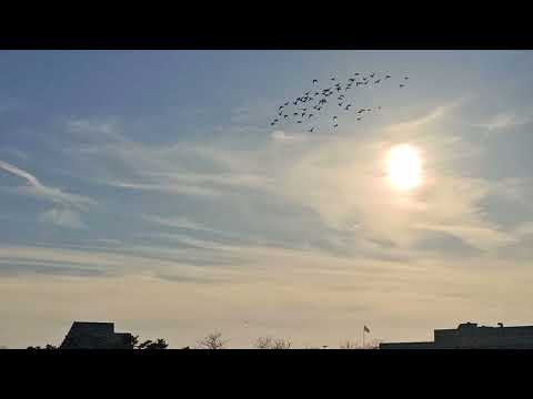 نشيد اقم الصلاة بوقتها