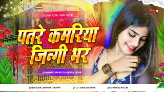 Patare Kamariya Jindagi Bhar Rahi A Raja Ji Dj Remix  Raja Ji Pawan Singh Dj Song 2026 Hard Bass