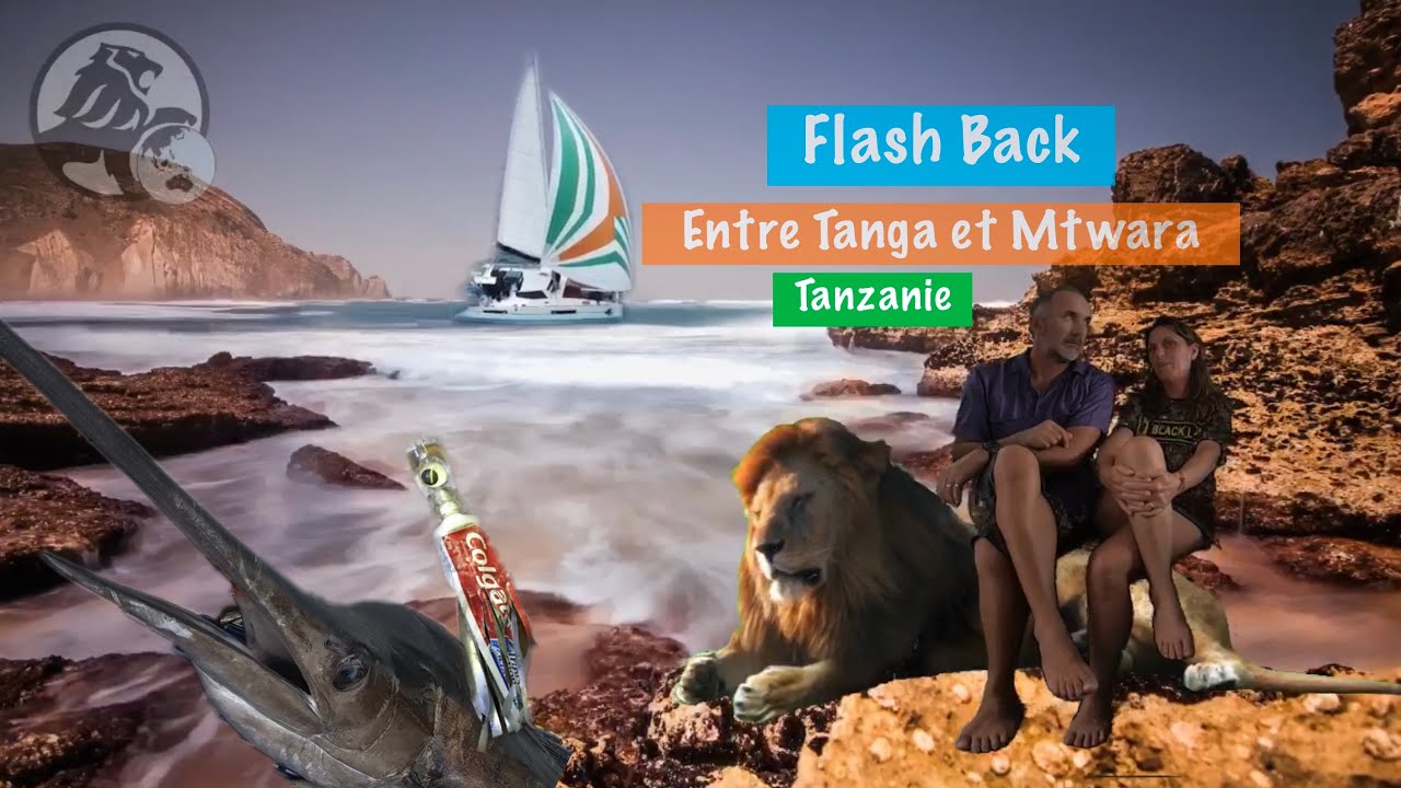⁣#57 Flash Back Black Lion 🦁 nous retrouvons les Rushs vidéos que nous pensions avoir perdu🦁⛵️