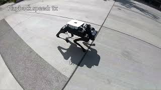 Celebrity Fast and Efficient Locomotion via Learned Gait Transitions Net Worth