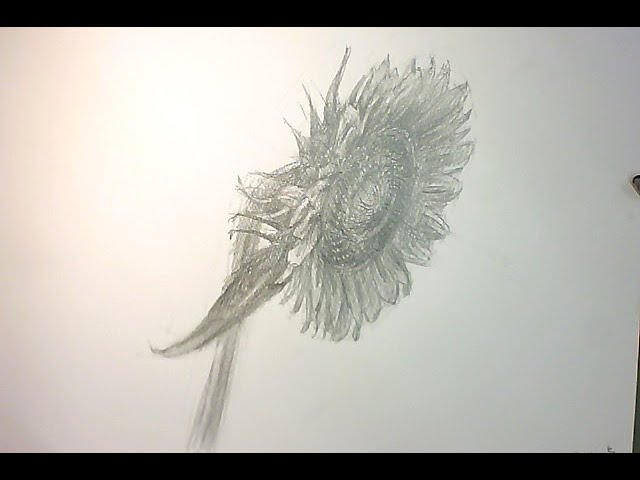 デッサン講座ひまわりを描く - YouTube