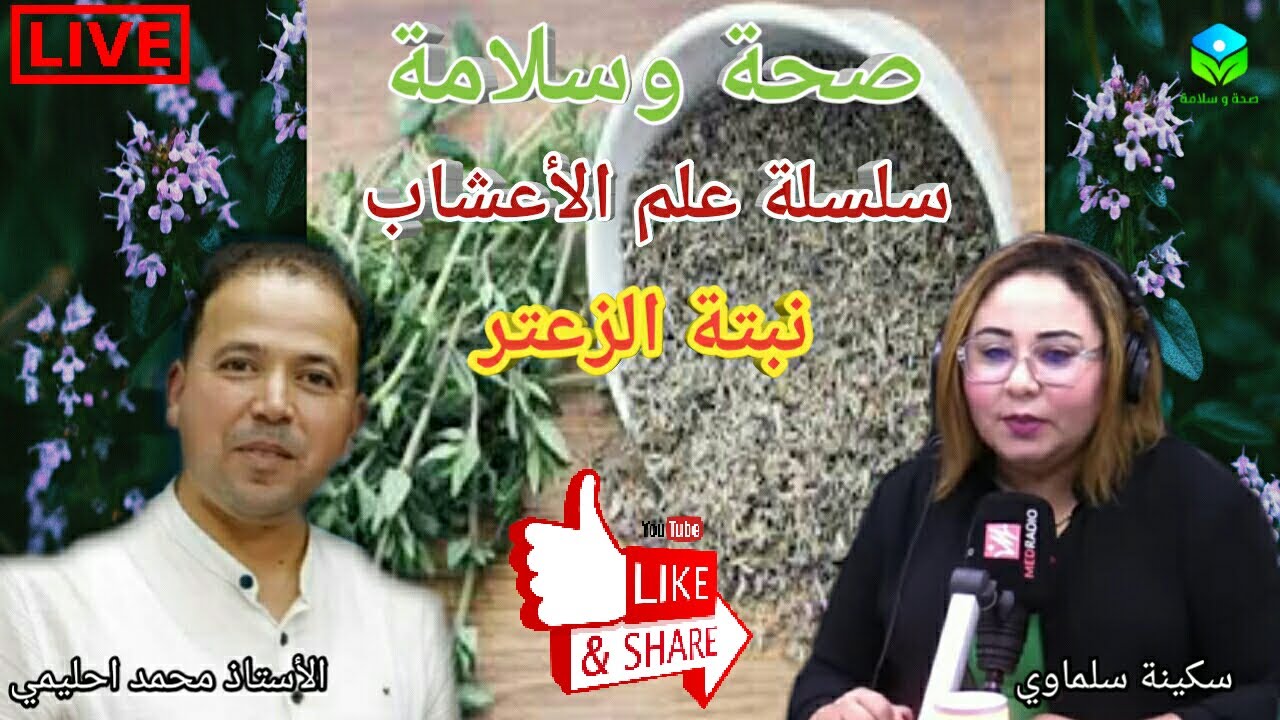 🔴 سلسلة علم الأعشاب 🍃🌿نبتة الزعتر وأنواعها 🌿🍃والفوائد الغذائية والصحية 🌿  الأستاذ محمد أحليمي