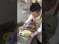 Shoe cleaning collection Tips for cleaning stains on leather shoes slippers white